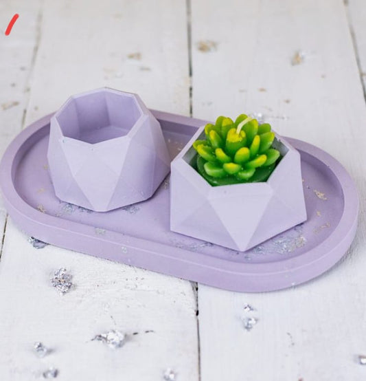 Concrete Tray and Planter