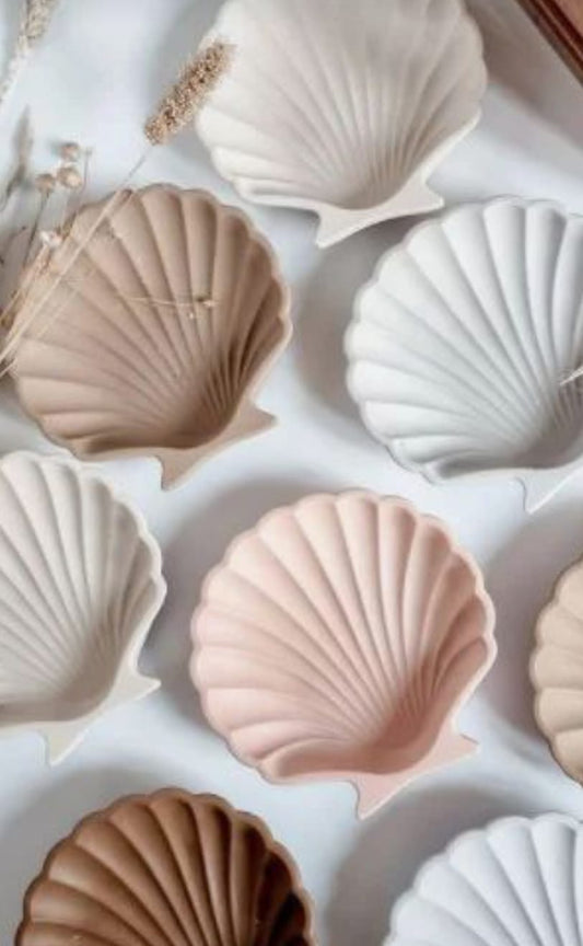 Concrete Boho Sea shell tray